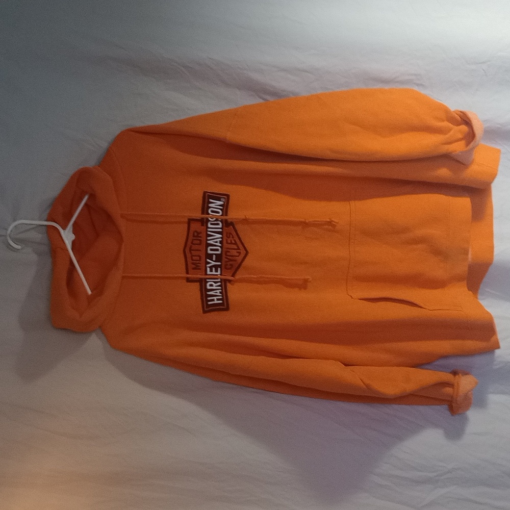 Hooded Harley Davidson hoodie